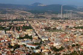 Soma Çiçekçi