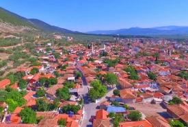 Kırkağaç Çiçekçi